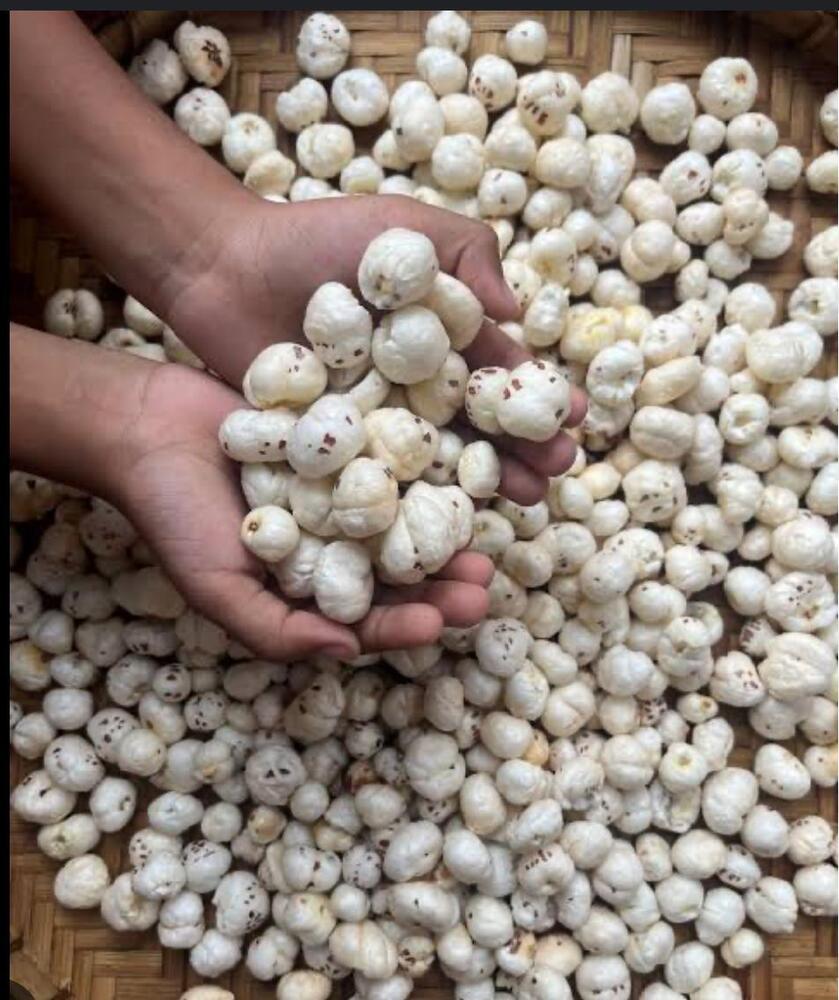 Fox Nuts (Hand Pick)